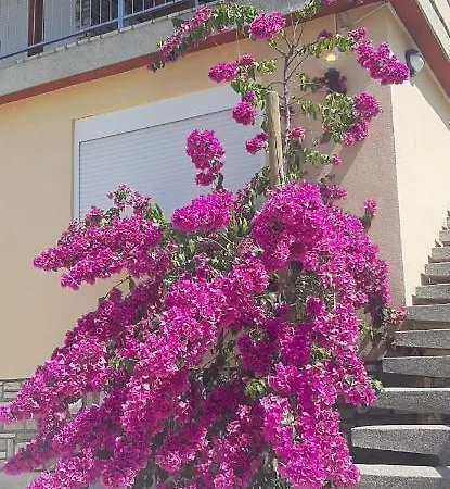 Appartement With Heated Pool, Regina *